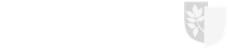 Gemeente Rheden